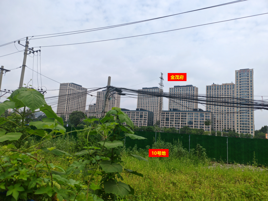 朝阳豪宅，集体感谢中海